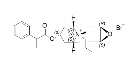 丁溴东莨菪碱杂质07